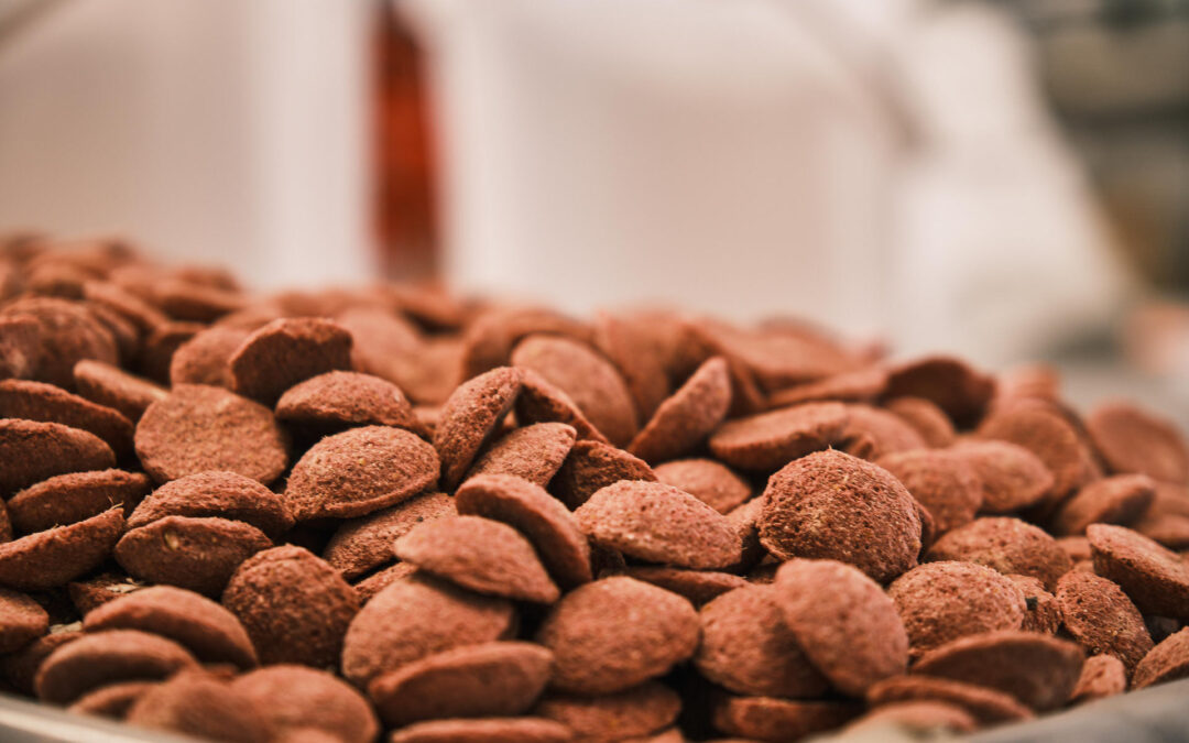 Alimentation NAC à Épinal : venez nous voir !