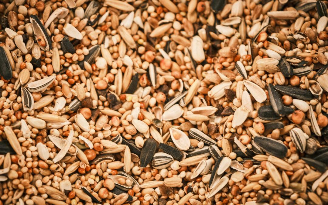 Céréales pour animaux à Épinal : une alimentation naturelle pour le bien-être de vos compagnons