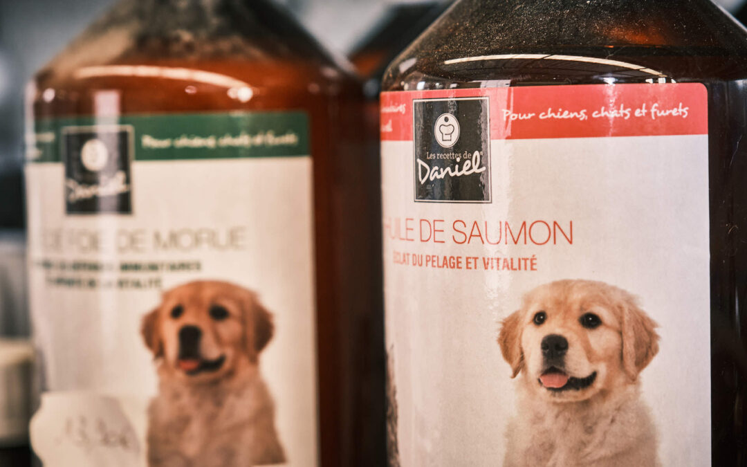 Aromathérapie pour animaux à Épinal : le bien-être naturel