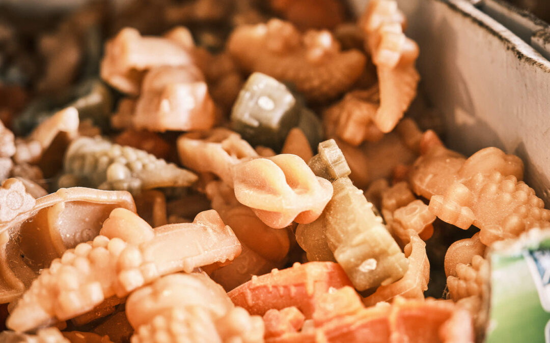 Complément alimentaire pour chien : comment choisir ?