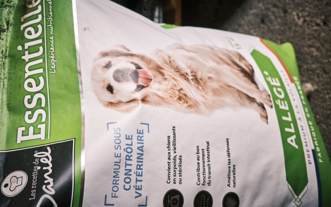 Croquettes pour chien à Vesoul : l’embarras du choix !