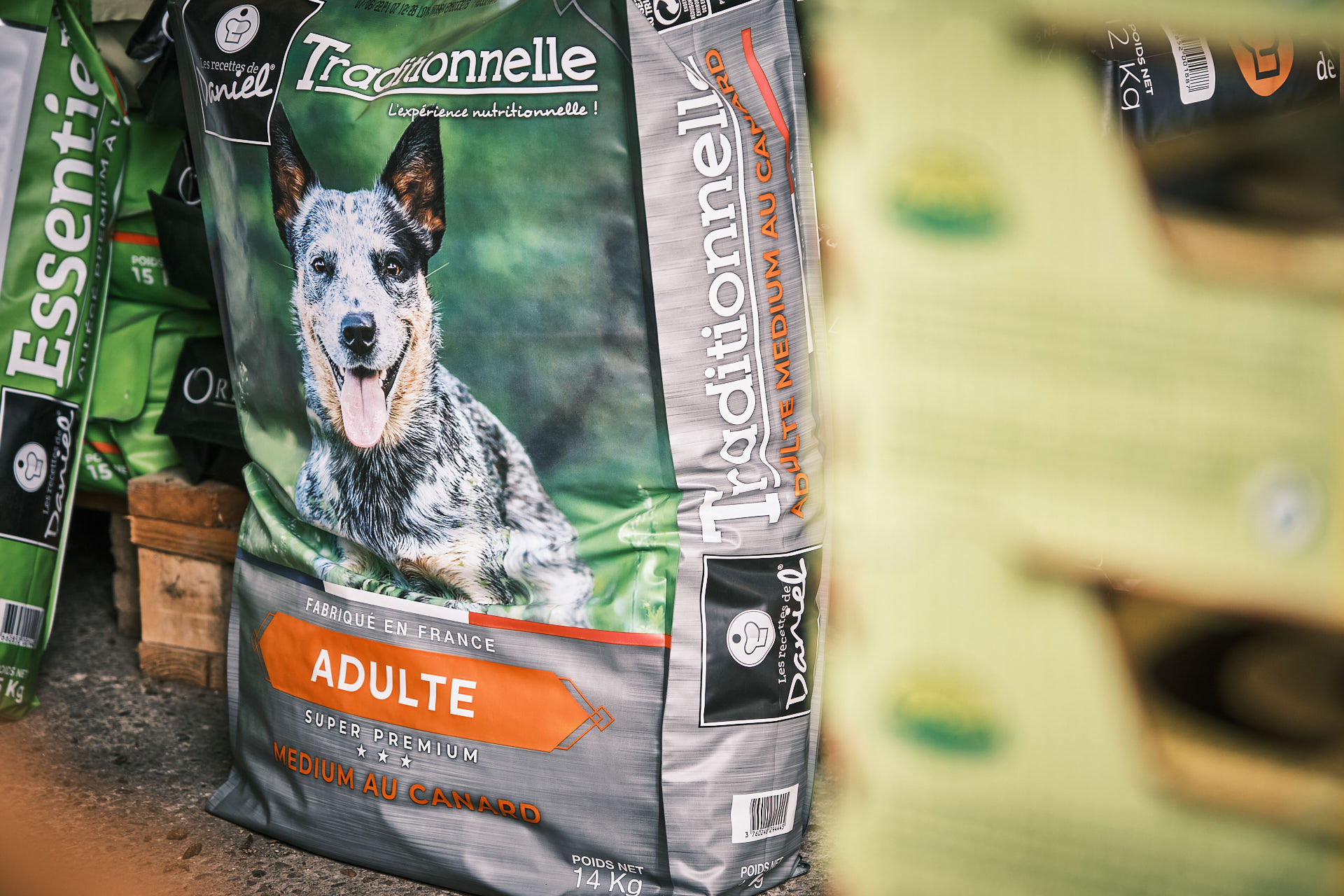 Croquettes pour chien à Épinal